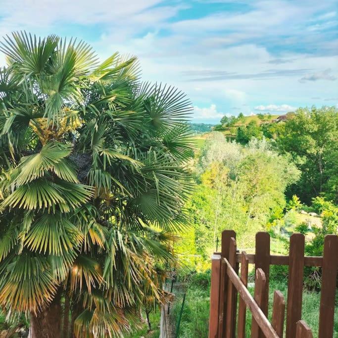 Appartamento In Monferrato Di Dominga Portacomaro Exterior foto